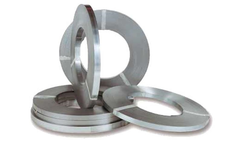 Reggia metallica lucida